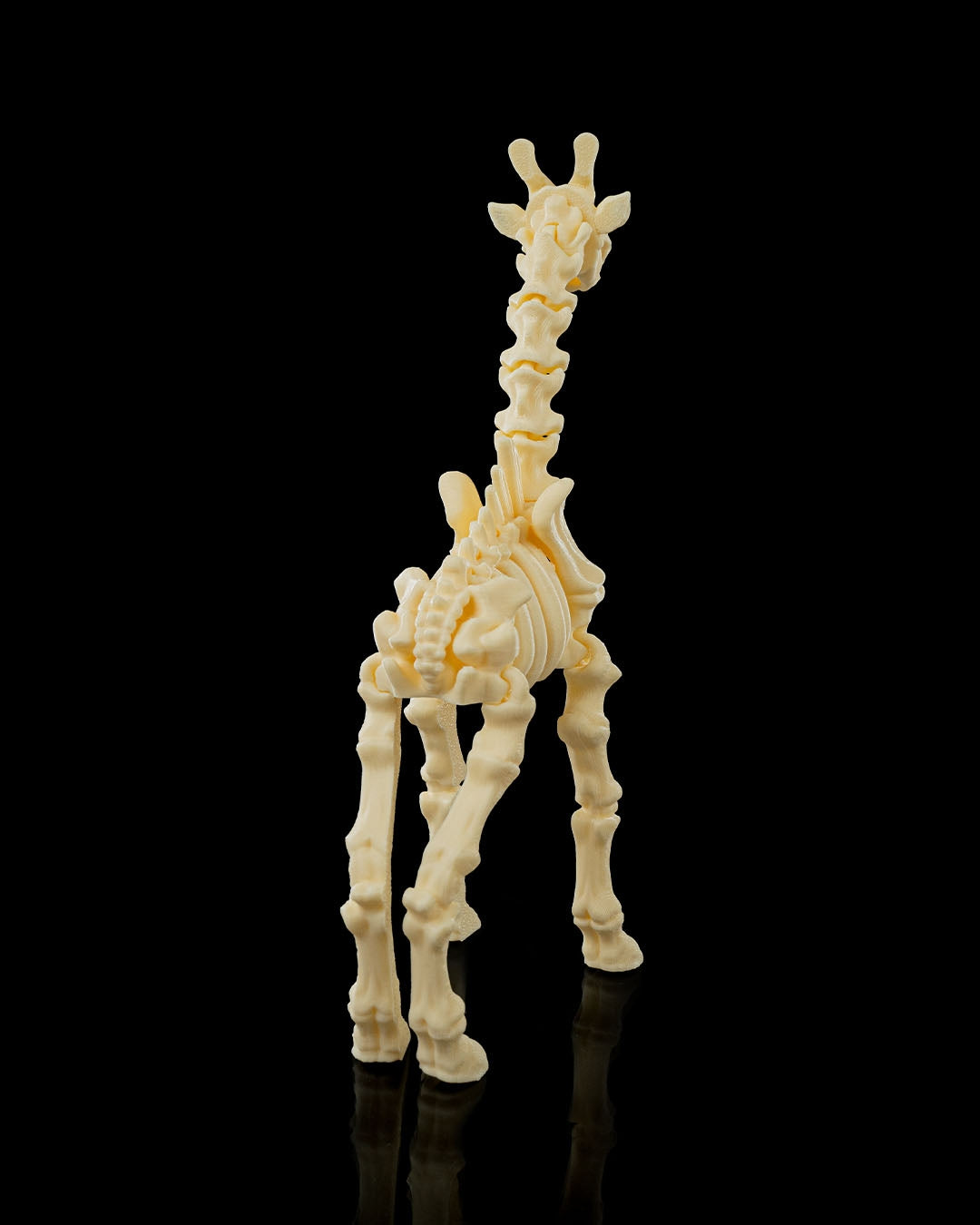 Articulated giraffe skeleton toy posed with legs bent and head tilted - rear view