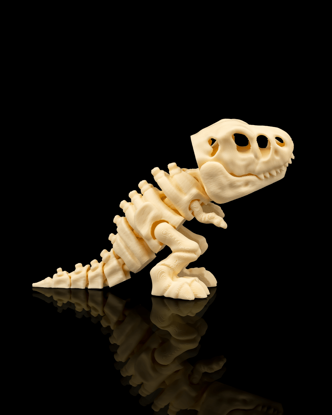 Side profile of Skeleton T-Rex highlighting limbs and tail articulation.