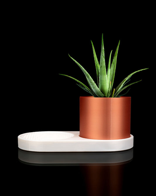 Modern VOXEL planter and trinket tray holding succulent and small accessories