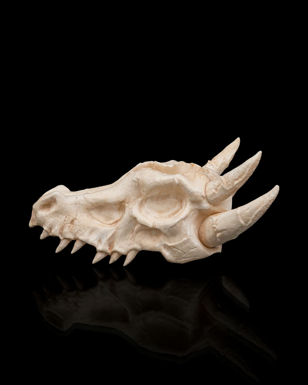 Empty beige Deathroot skull planter showing side profile with detailed teeth and horns