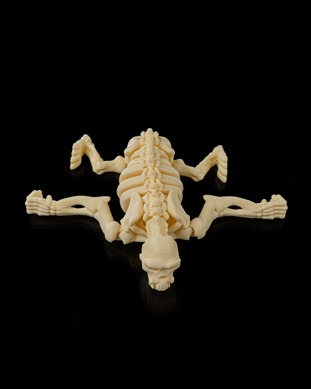 3D printed Flexi Skeleton Chimp posed in a lying position with movable joints.