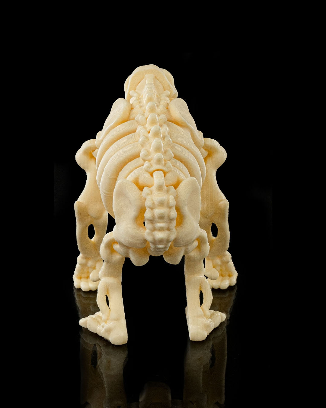 rear profile of Flexi Skeleton Chimp 3D print showing articulated limbs and skeletal details