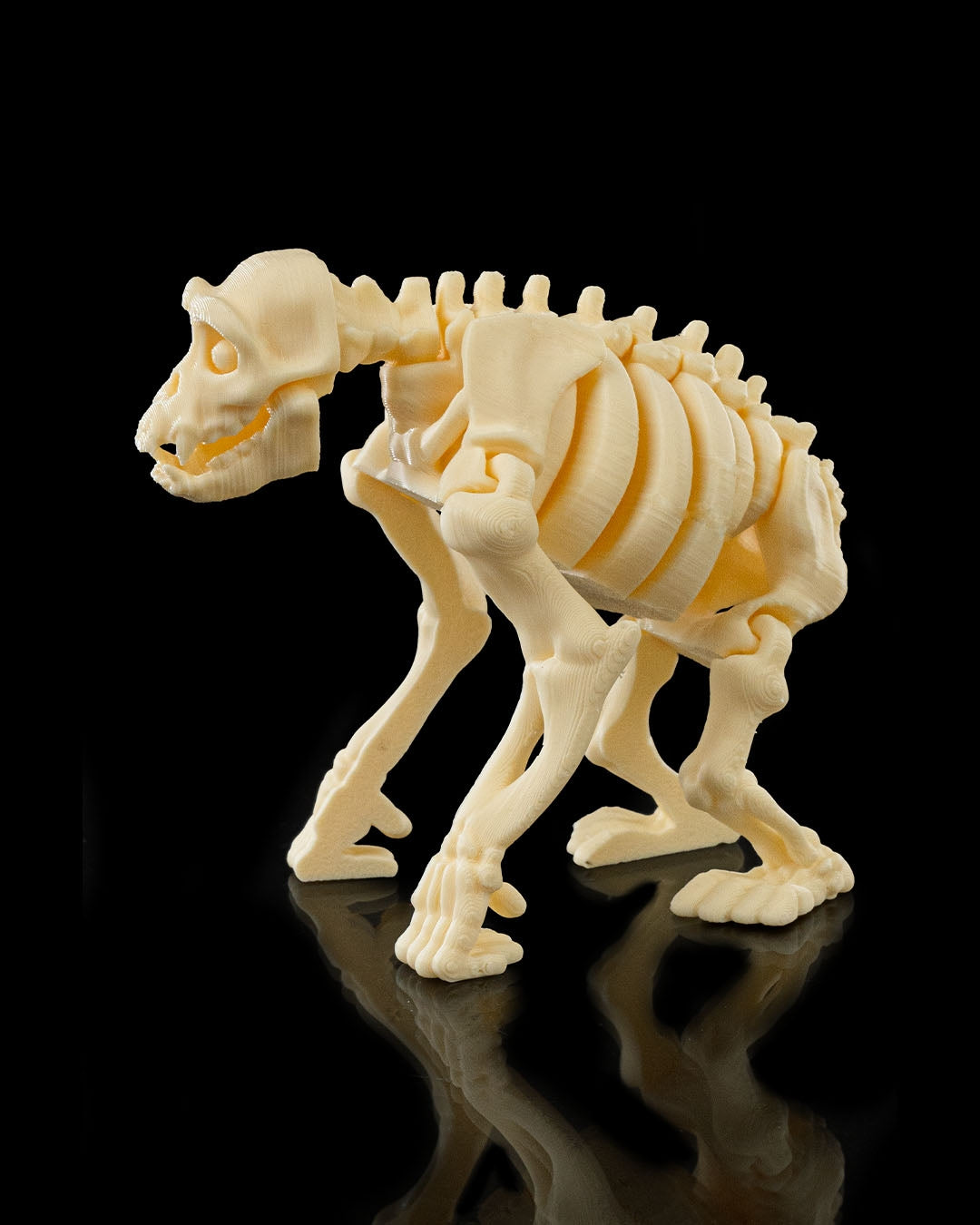 Side profile of Flexi Skeleton Chimp 3D print showing articulated limbs and skeletal details.