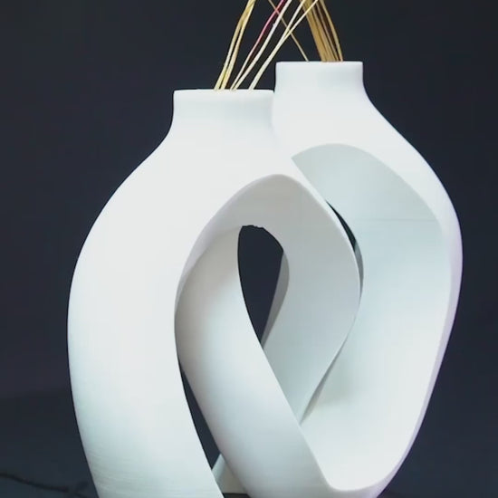 Video showing the modern intertwined 7.5 inch PETG vase with spray enamel seal from multiple angles