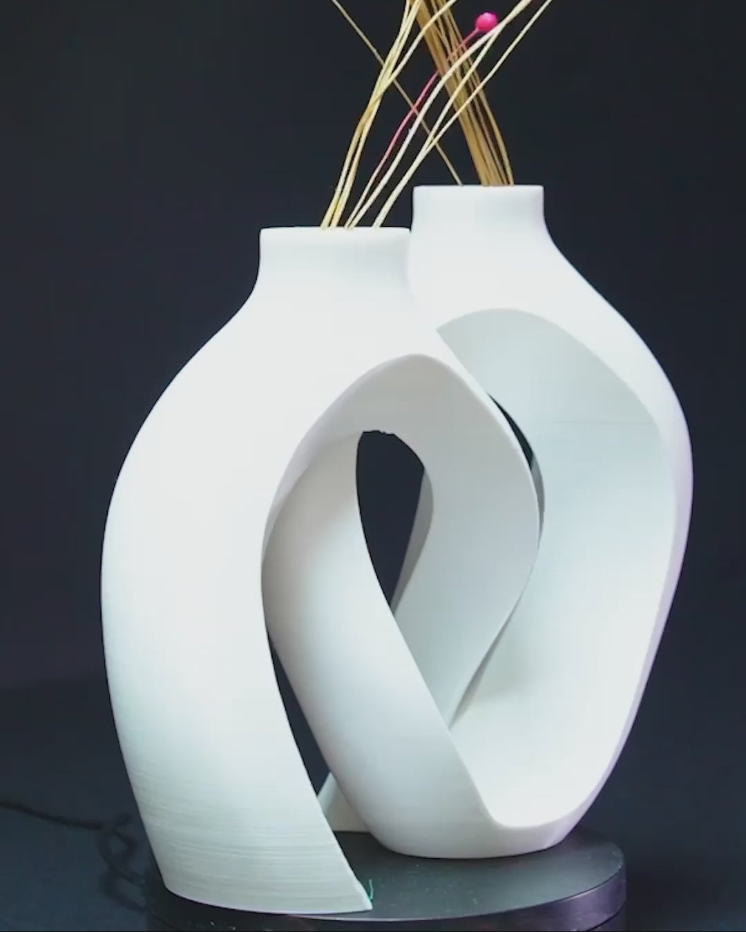 Video showing the modern intertwined 7.5 inch PETG vase with spray enamel seal from multiple angles