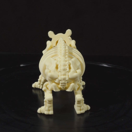 360-degree rotation video of Skeleton Fidget Hippo showing articulated joints and skeletal structure