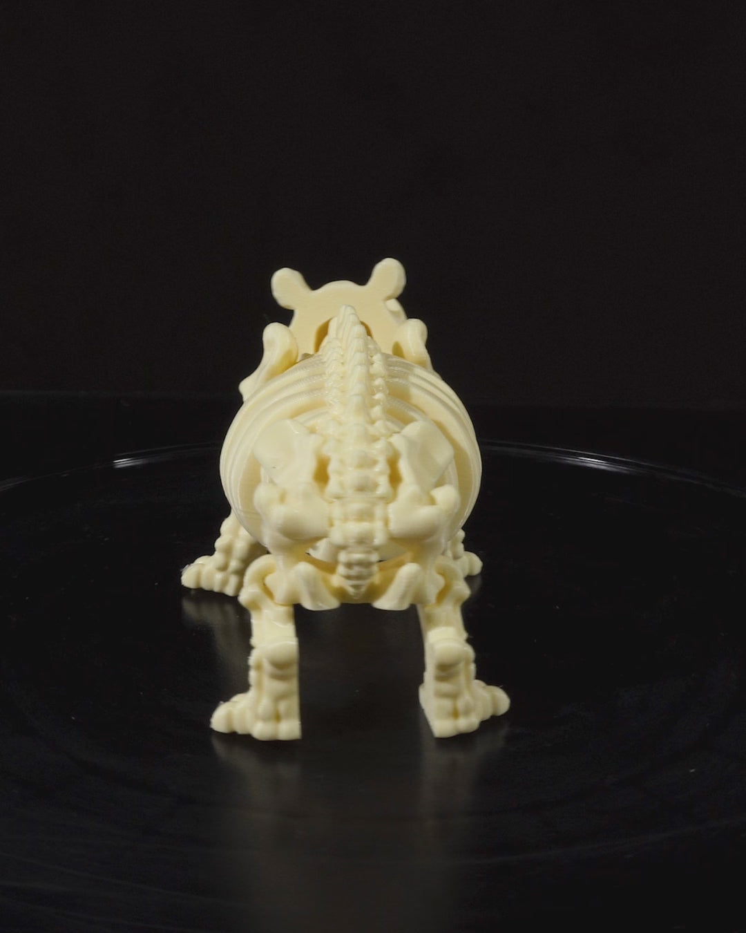 360-degree rotation video of Skeleton Fidget Hippo showing articulated joints and skeletal structure