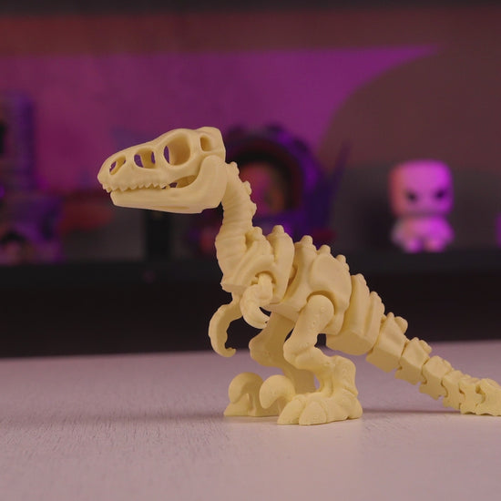360-degree rotating video of the 3D-printed Skeleton Velociraptor displaying its full skeletal form.