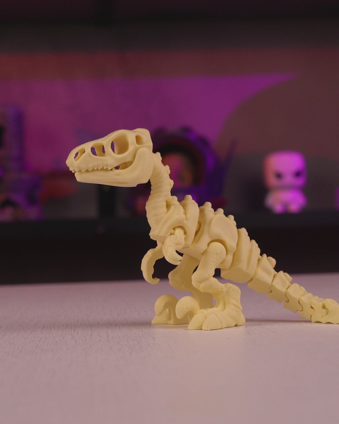 360-degree rotating video of the 3D-printed Skeleton Velociraptor displaying its full skeletal form.