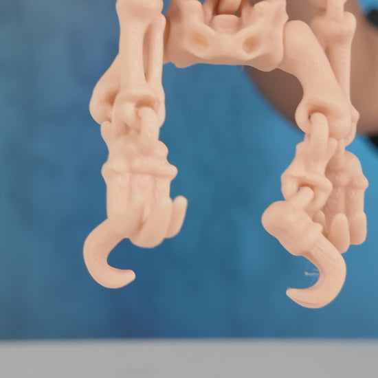 360-degree rotation video of articulated Skeleton Fidget Sloth showing spooky details and posable limbs.