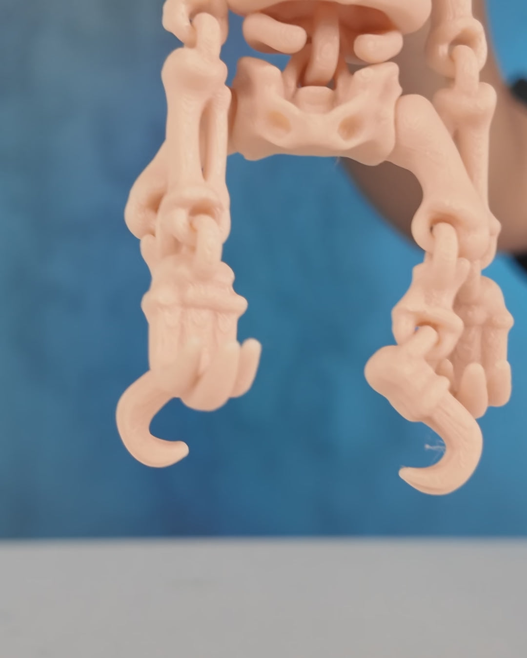 360-degree rotation video of articulated Skeleton Fidget Sloth showing spooky details and posable limbs.