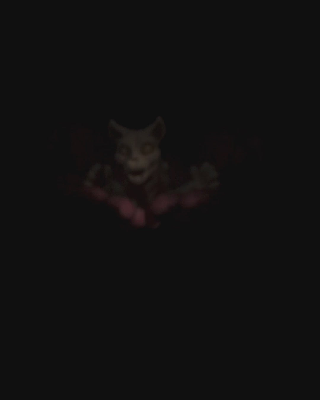 360-degree rotation video of articulated Skeleton Fidget Cat showing skeletal design and posable joints.