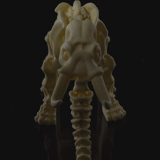 360-degree rotation video of articulated Skeleton Fidget Elephant showing trunk movement and optional ears