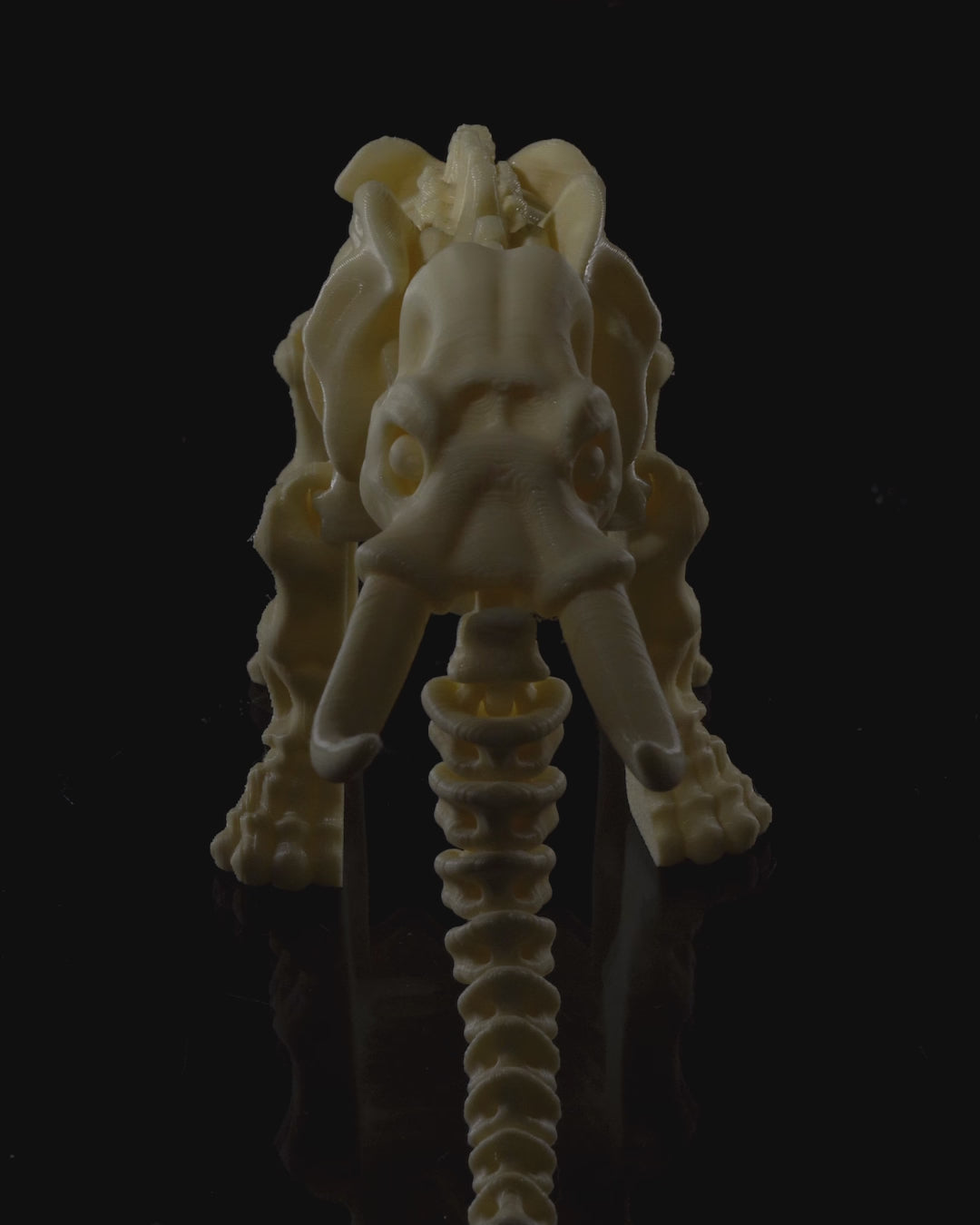 360-degree rotation video of articulated Skeleton Fidget Elephant showing trunk movement and optional ears