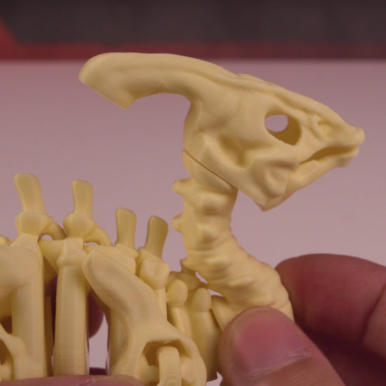360-degree rotating video of the 3D printed Skeleton Parasaurolophus showcasing full skeletal form.