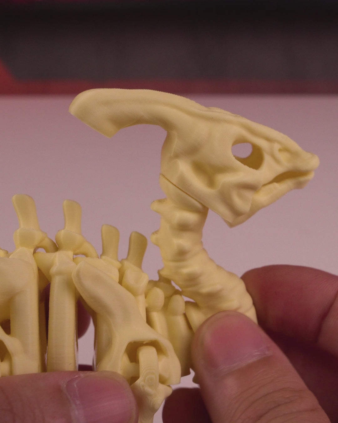 360-degree rotating video of the 3D printed Skeleton Parasaurolophus showcasing full skeletal form.