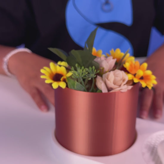 360-degree rotating view of VOXEL trinket dish and PETG mini planter with sealed brown pot