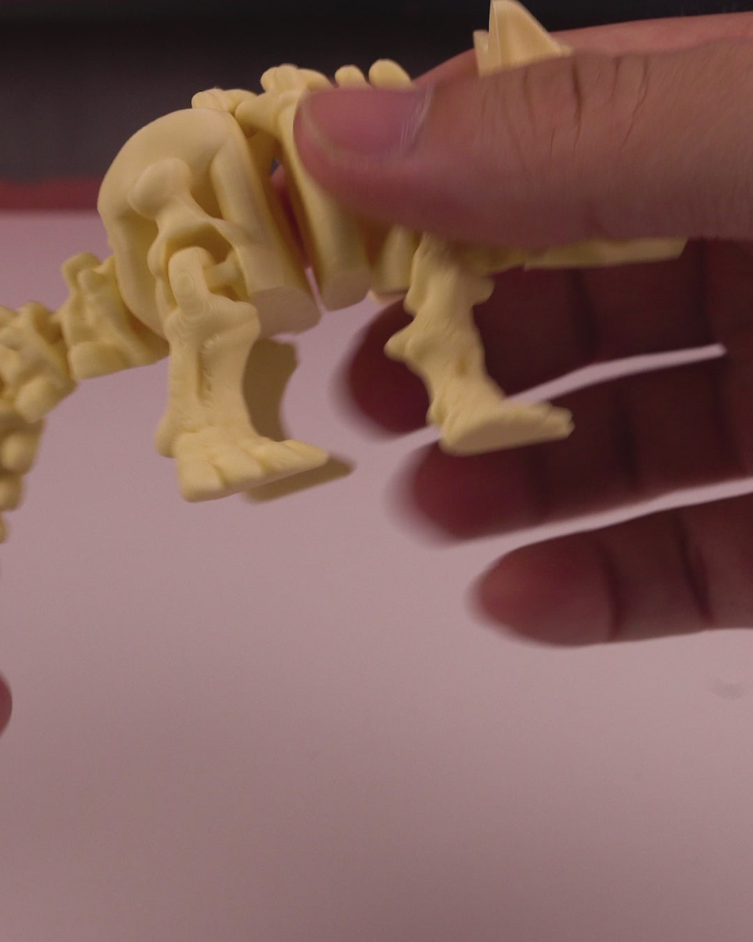 360-degree video showcasing the 3D printed Skeleton Ankylosaurus model with detailed articulation.