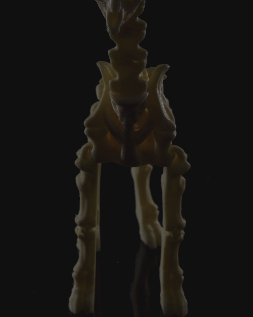 Video of the skeleton Fidget Giraffe 3D printed in beige PLA standing upright on black background