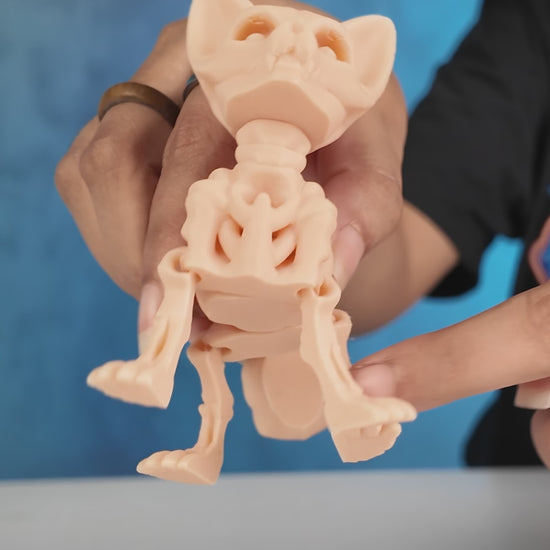 360-degree rotation video of articulated Skeleton Fidget Fox showing skeletal design and posable joints