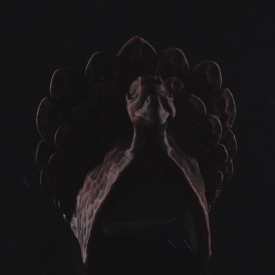 Video demonstration of the 3D printed Turkey Ring Napkin Holder showing how it holds a napkin and enhances a fall-themed table setting.