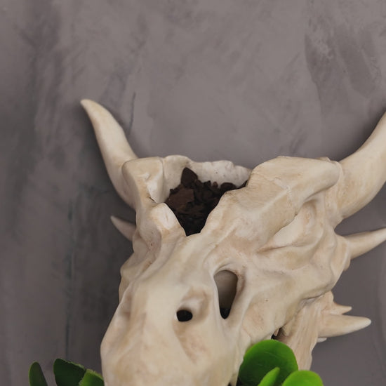 360-degree rotating view of Drip & Decay skull planter showing gothic dripping skull details and plant cavity.