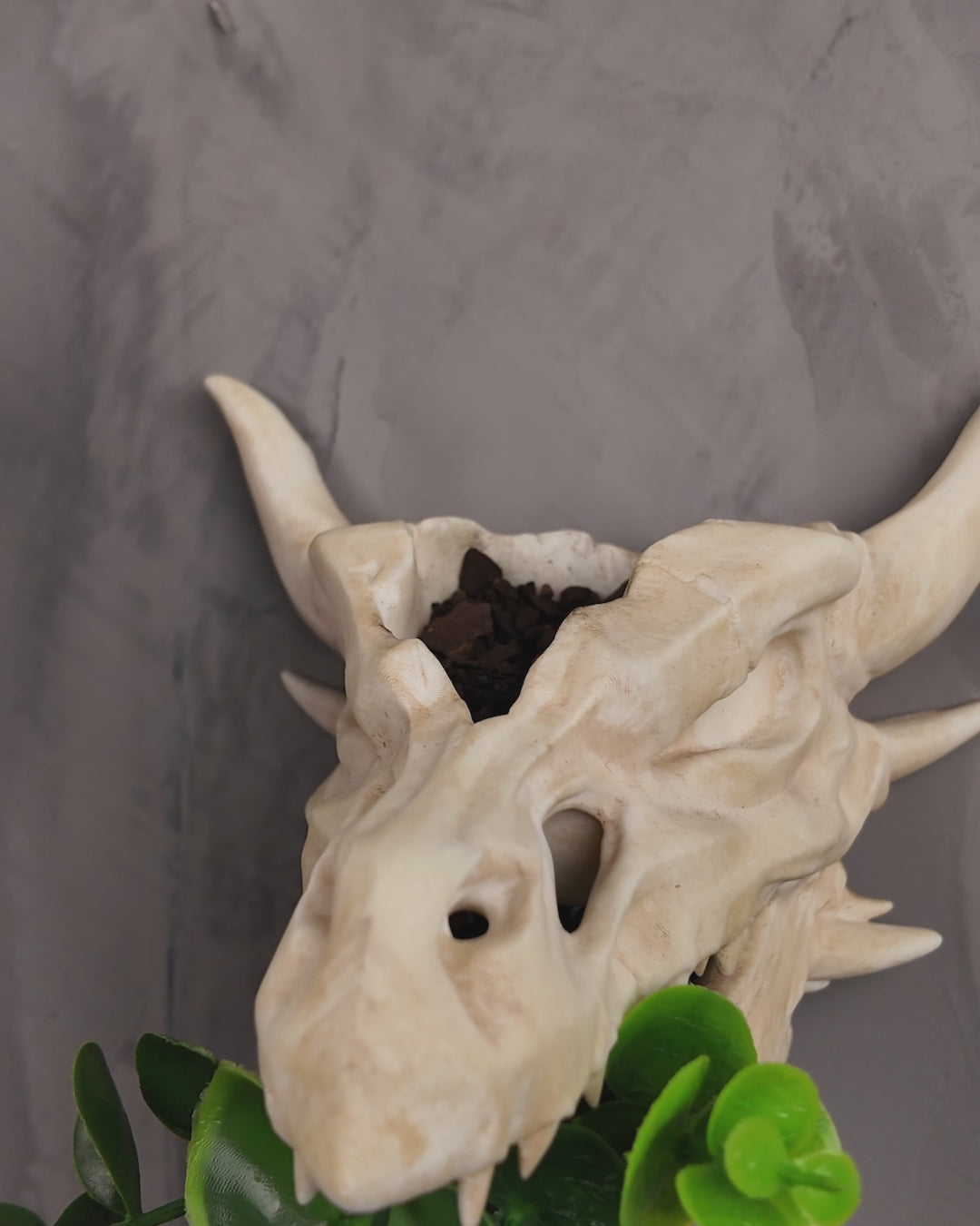 360-degree rotating view of Drip & Decay skull planter showing gothic dripping skull details and plant cavity.