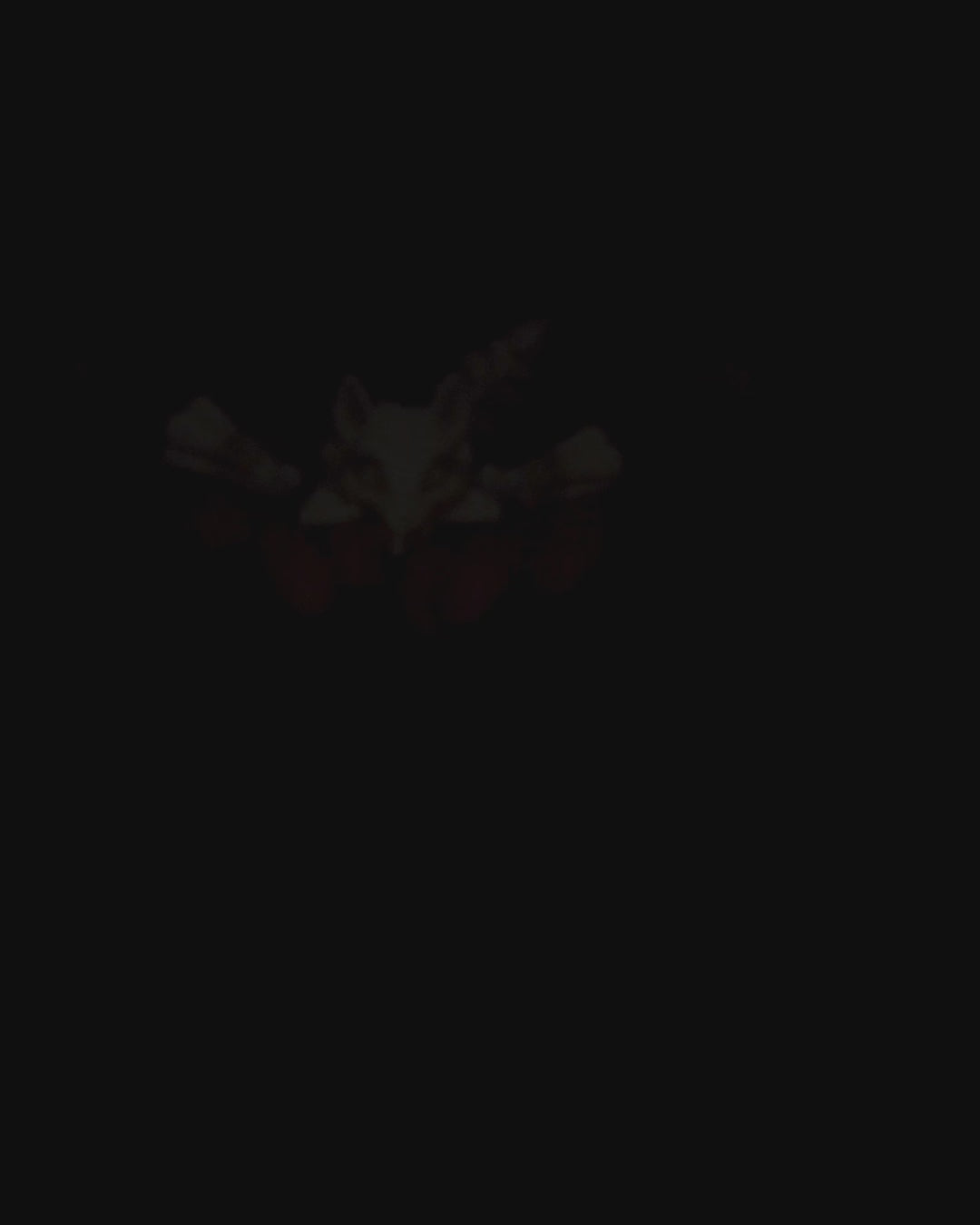 360-degree rotation video of articulated Skeleton Fidget Squirrel showing tail and skeletal articulation.