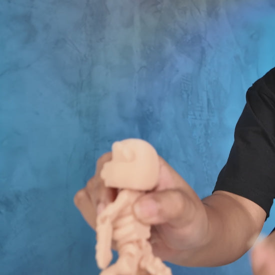 360-degree rotation video of articulated Skeleton Fidget Beaver showing skeletal design and posable joints.