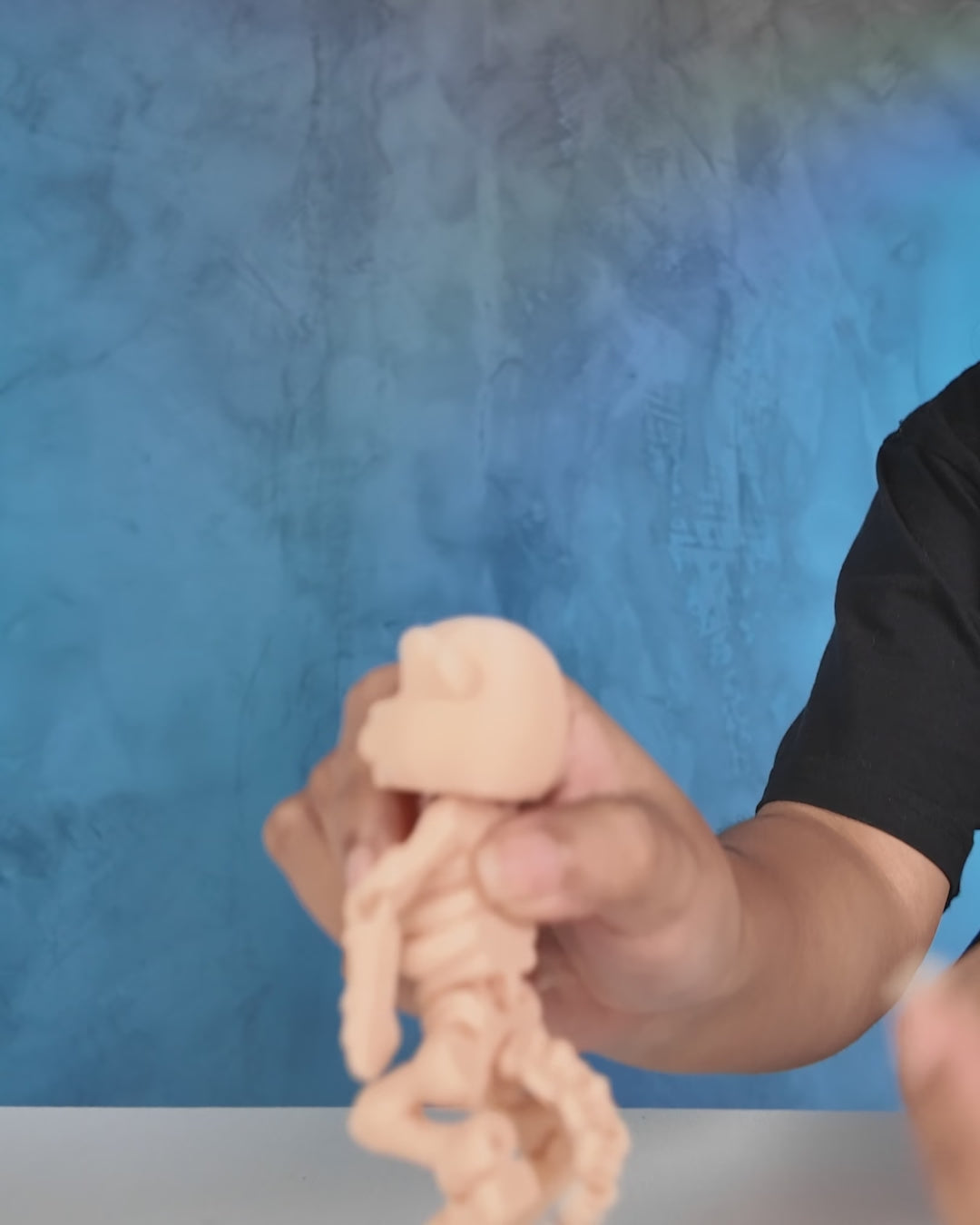 360-degree rotation video of articulated Skeleton Fidget Beaver showing skeletal design and posable joints.