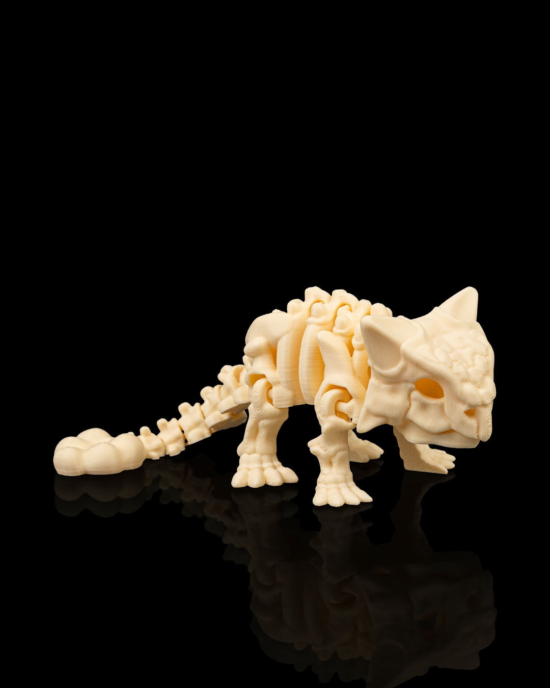 Front angle of 3D printed Skeleton Ankylosaurus model showing detailed skull and armored body.