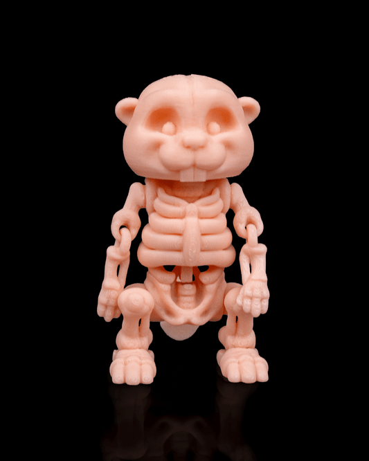 Front view of 3D printed Skeleton Fidget Beaver with articulated limbs and large teeth.