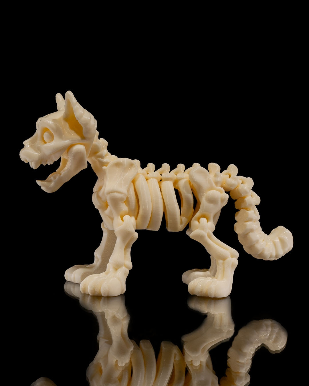 Side profile of Skeleton Fidget Cat 3D print in beige PLA showing tail and skeletal details.