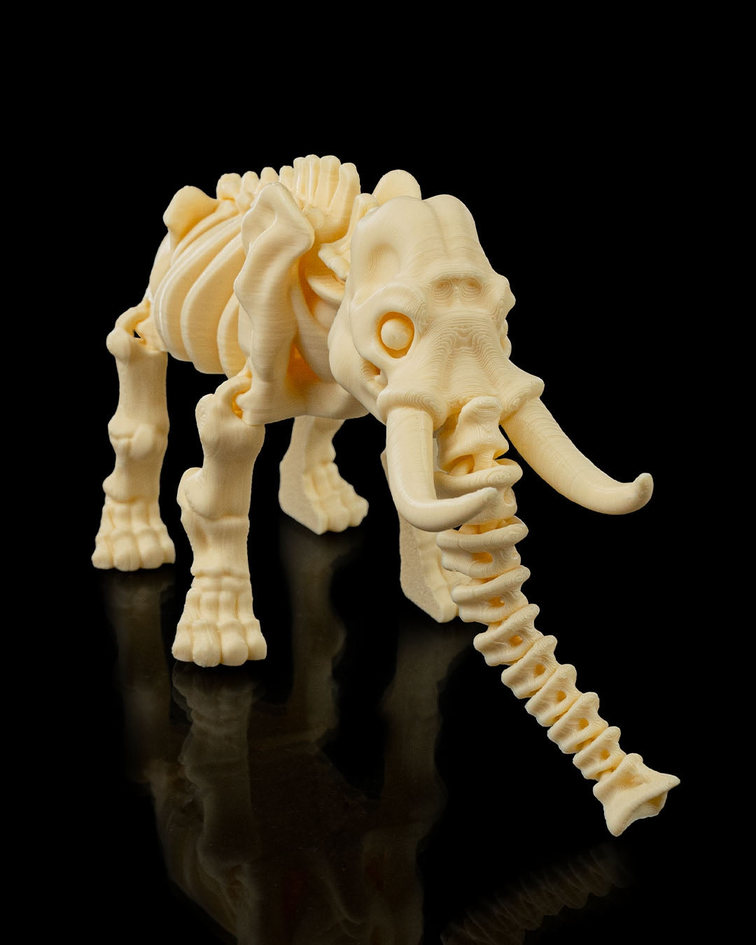 Side profile of Skeleton Fidget Elephant 3D print showing tusks and skeletal details.