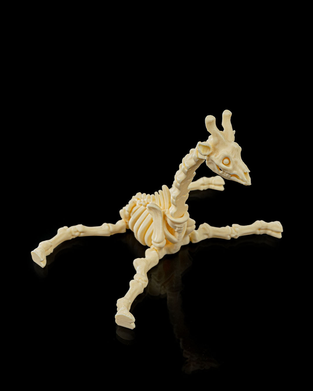 Skeleton Fidget Giraffe 3D printed in beige PLA on stomach showing flexibility of joints on black background
