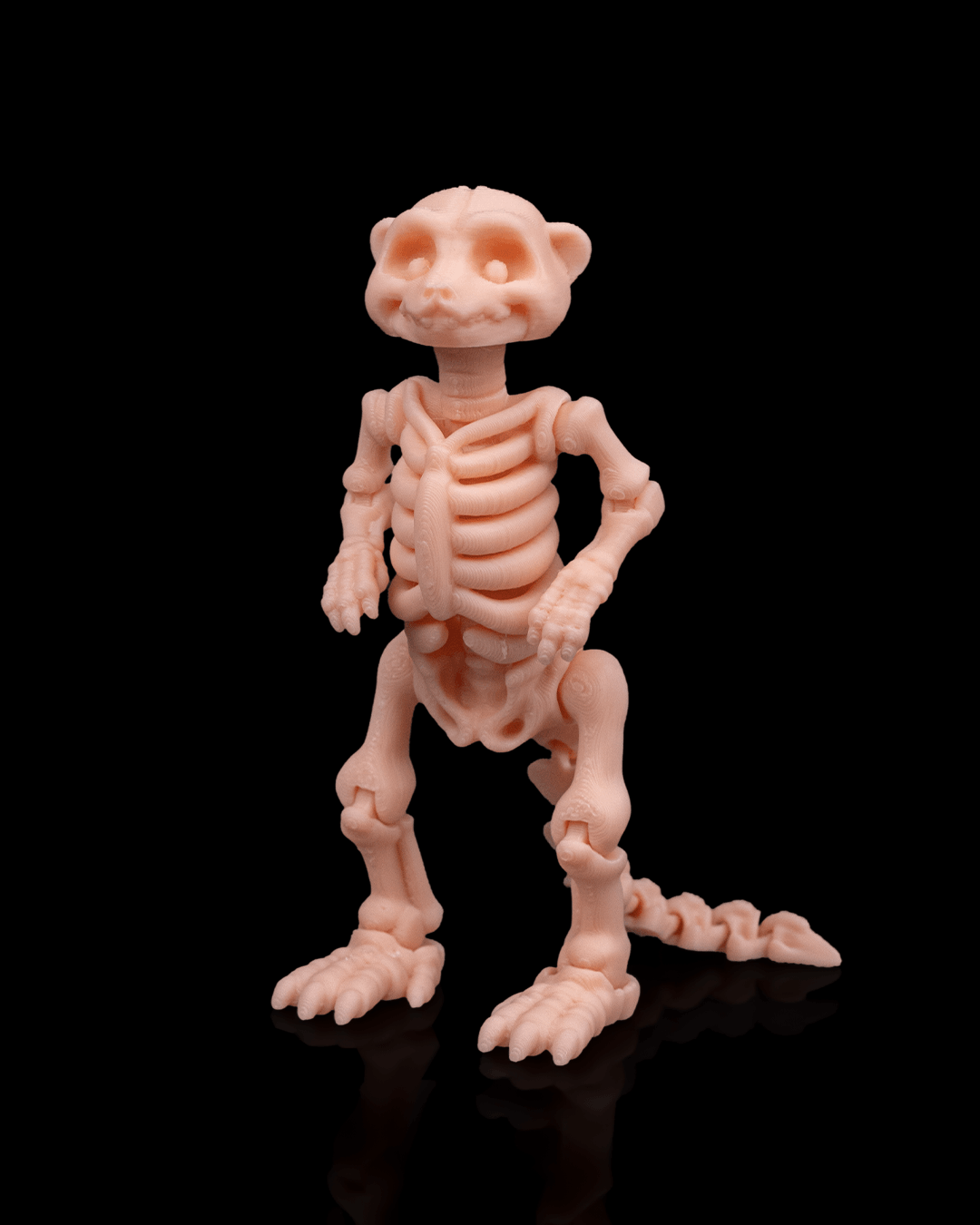 Angled profile of Skeleton Fidget Meerkat 3D print showing ribcage and articulated limbs.