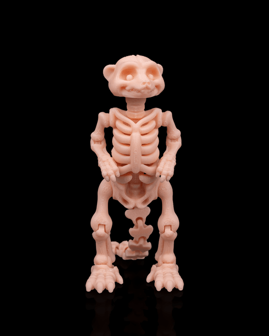 3D printed Skeleton Fidget Meerkat standing upright at 11cm tall in beige PLA.