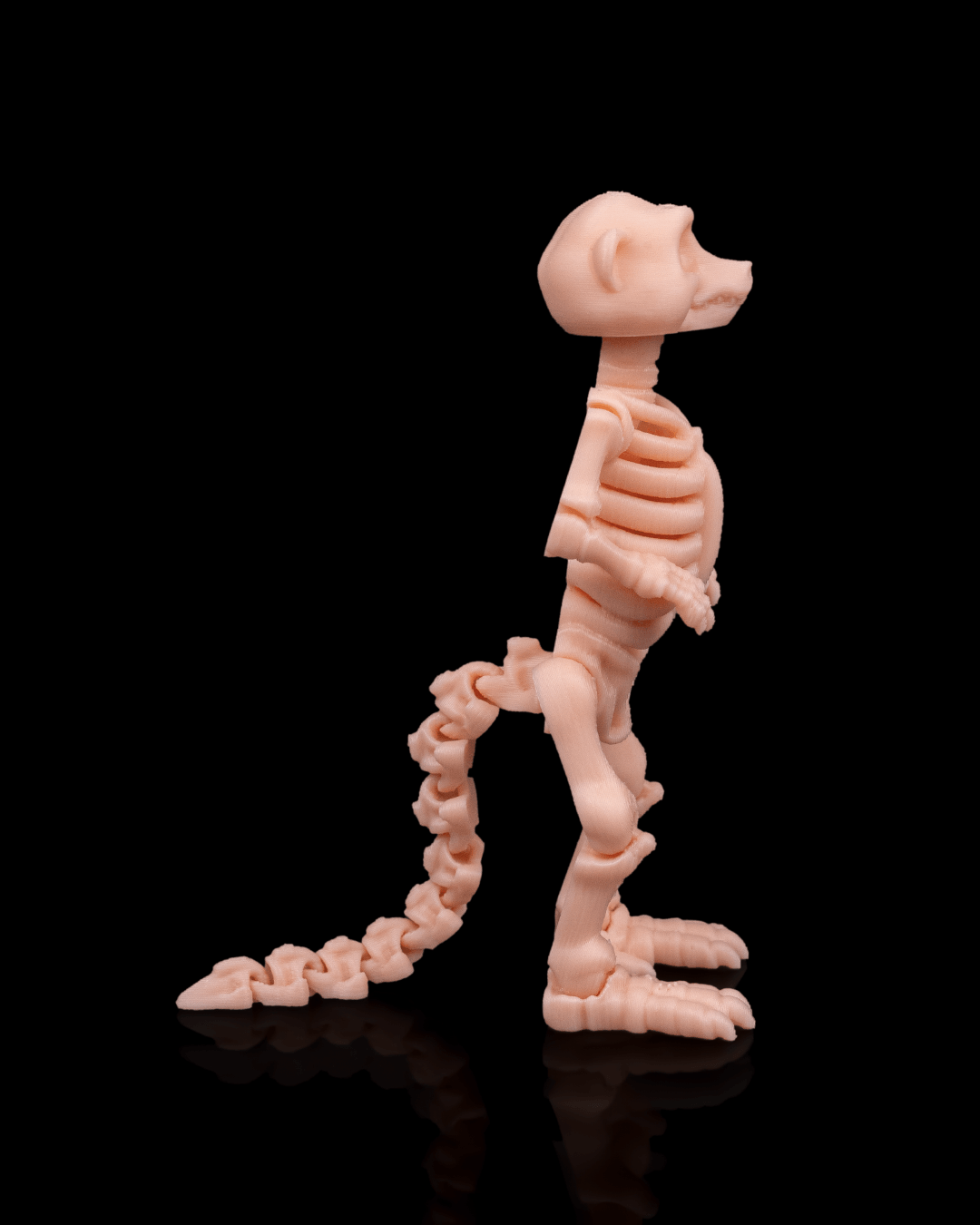 Side profile of Skeleton Fidget Meerkat 3D print showing ribcage and articulated limbs.
