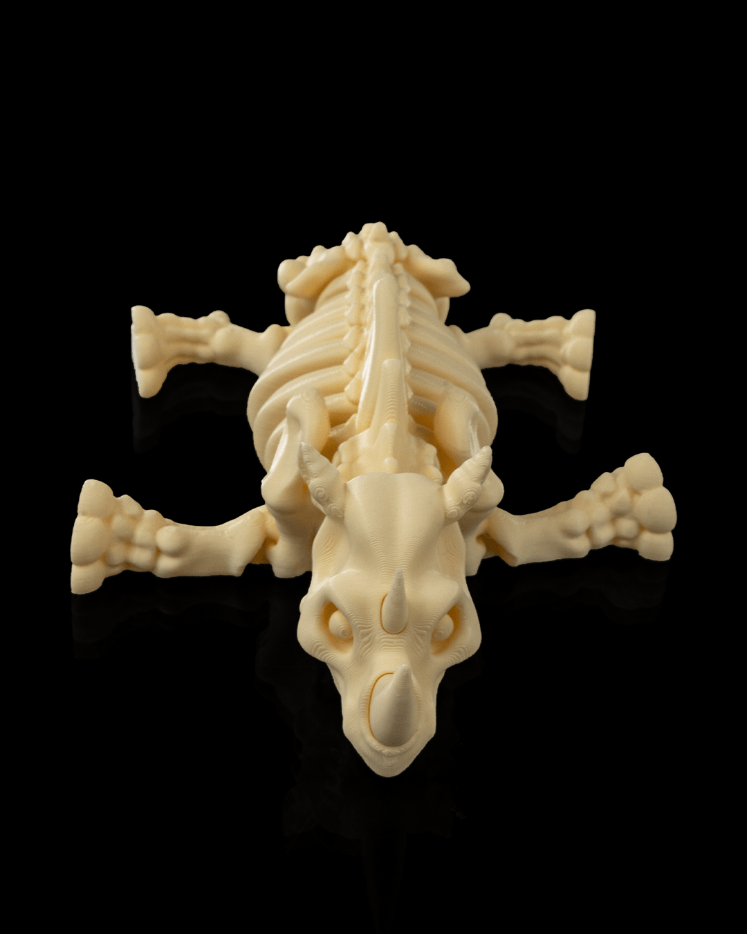 lying flat top front view of 3D printed Skeleton Fidget Rhino in beige, articulated and standing on reflective black surface.