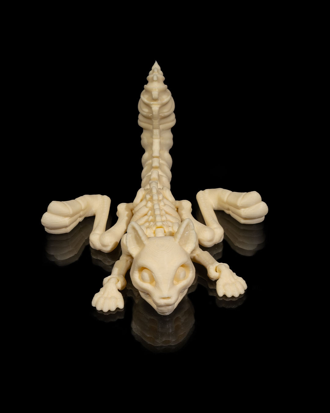 flat view of Skeleton Fidget Squirrel 3D print in beige PLA showing skeletal details.