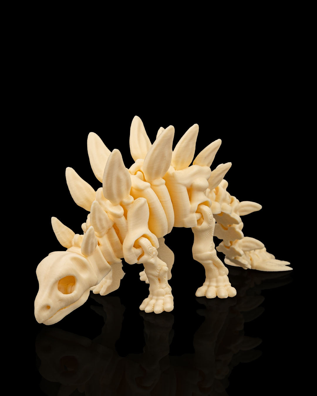 Front view of 3D printed Skeleton Stegosaurus showing plates and bone detail.