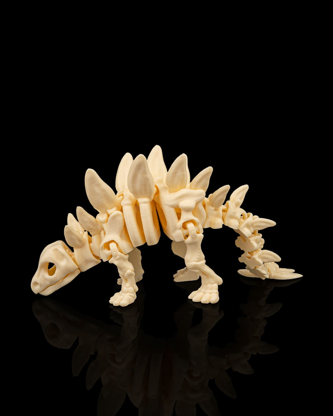 Side view of 3D printed Skeleton Stegosaurus showing plates and bone detail.