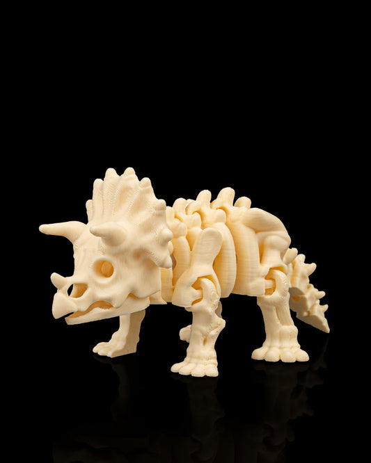 Front view of 3D printed Skeleton Triceratops showing detailed horns and frill.