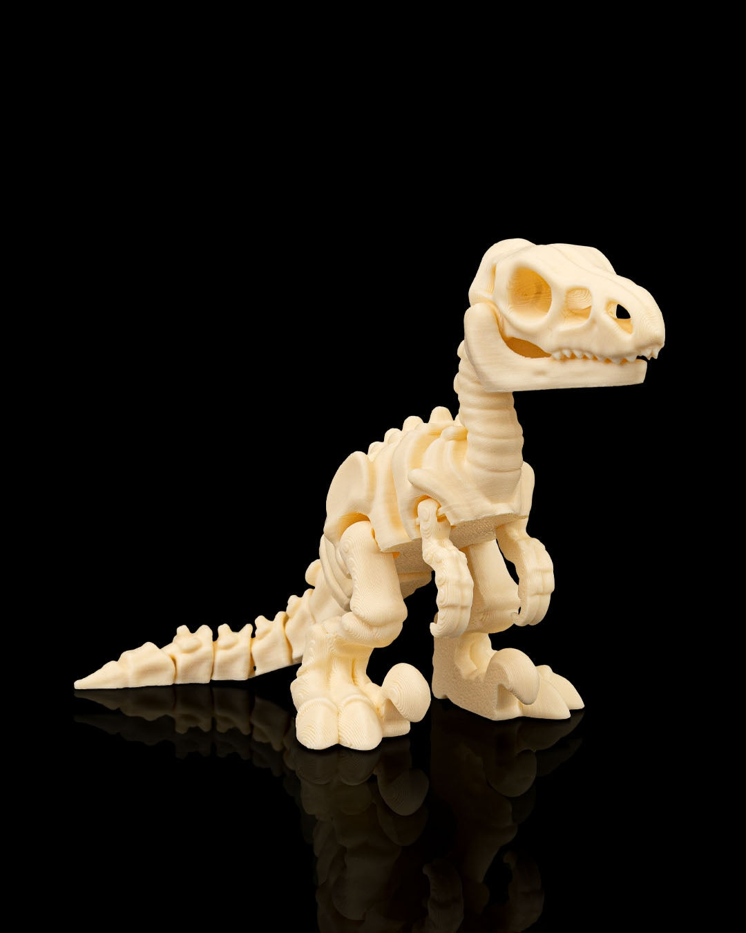 Front view of 3D-printed Skeleton Velociraptor showing detailed skull and claws.