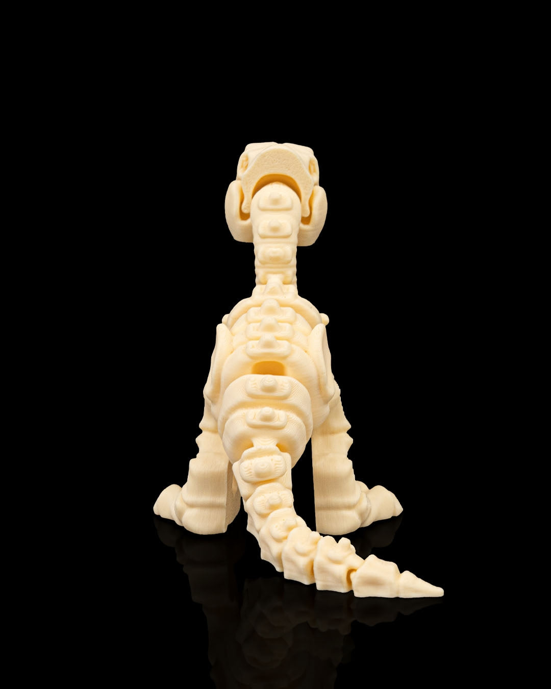 Rear profile of Skeleton Velociraptor highlighting ribs, legs, and tail.